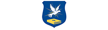 logo-5 (1)